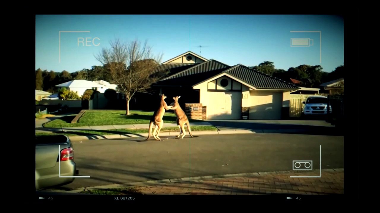 Boxing wyborczy 2015