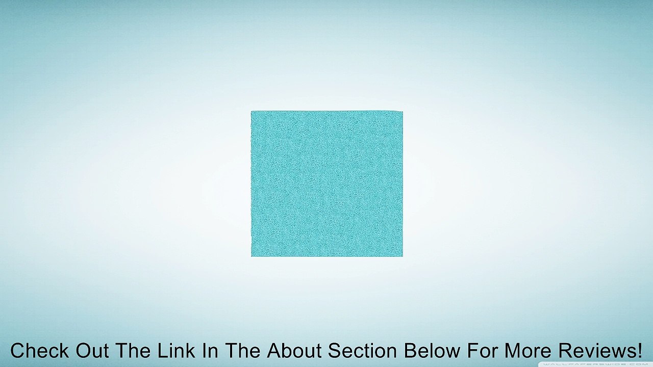 Solid Plush Solid Frieze Turquoise Rug Review