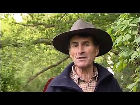 Jardin du Marais.Yves Gillen. jardinage sans travail du sol.