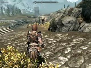 The Elder Scrolls V:Skyrim -  Intel (r) 4 Series Express Chipset Family