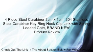 4 Piece Steel Carabiner 2cm x 4cm, 304 Stainless Steel Carabiner Key Ring Hook Clip Link with Spring Loaded Gate, BRAND NEW Review
