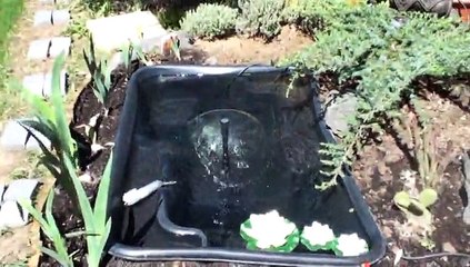 Les FONTAINES de Bernard