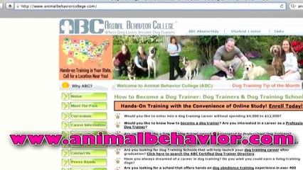 Animal Behavior College.com teaches training, care, grooming and more!