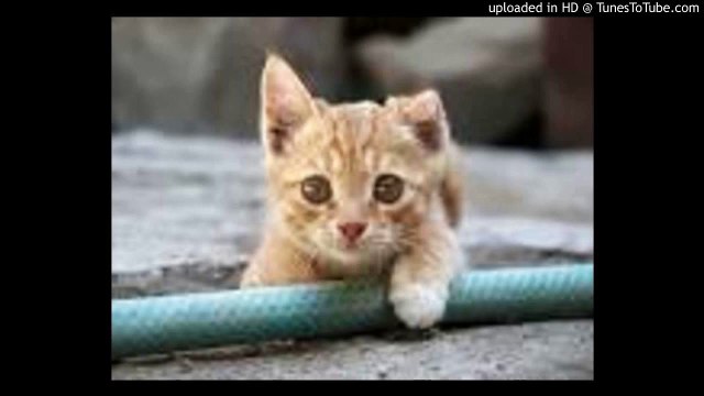 Another Orion/アナザー・オリオン/硝子のかけらたち/藤井フミヤ/増本直樹/ピアノ 高橋丈太郎