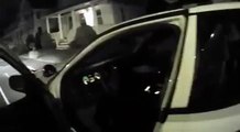 pit bull attack East Haven police officer, got shot