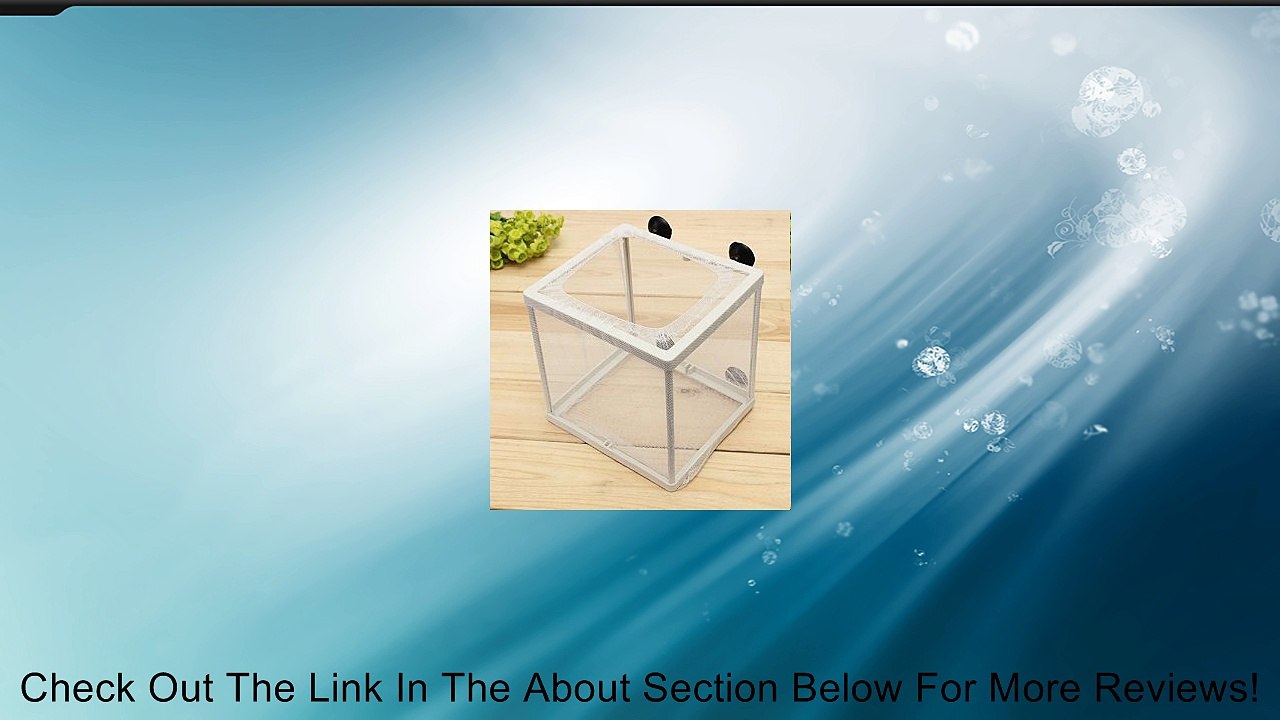 AUDEW Aquarium Fish Tank Hatchery Breeder Breeding Net Feeding Case for Baby Fish Review