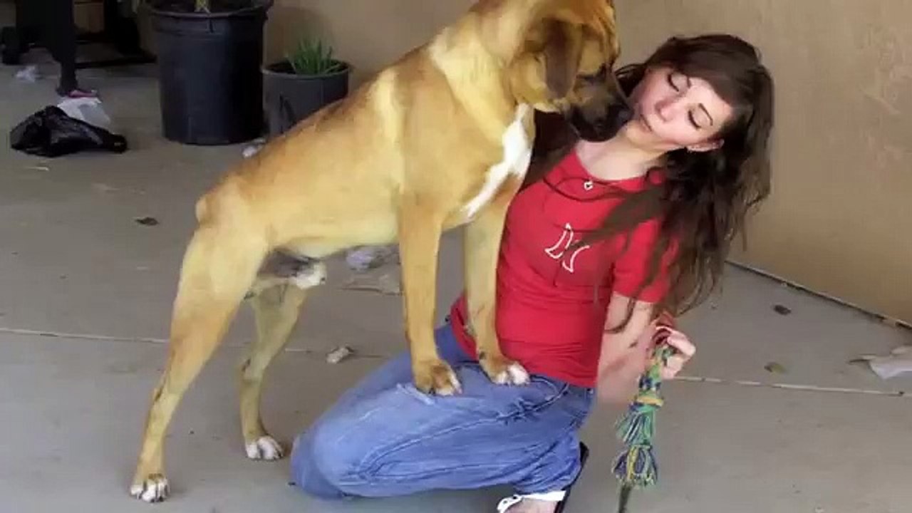 MarmaDuke (adopted)