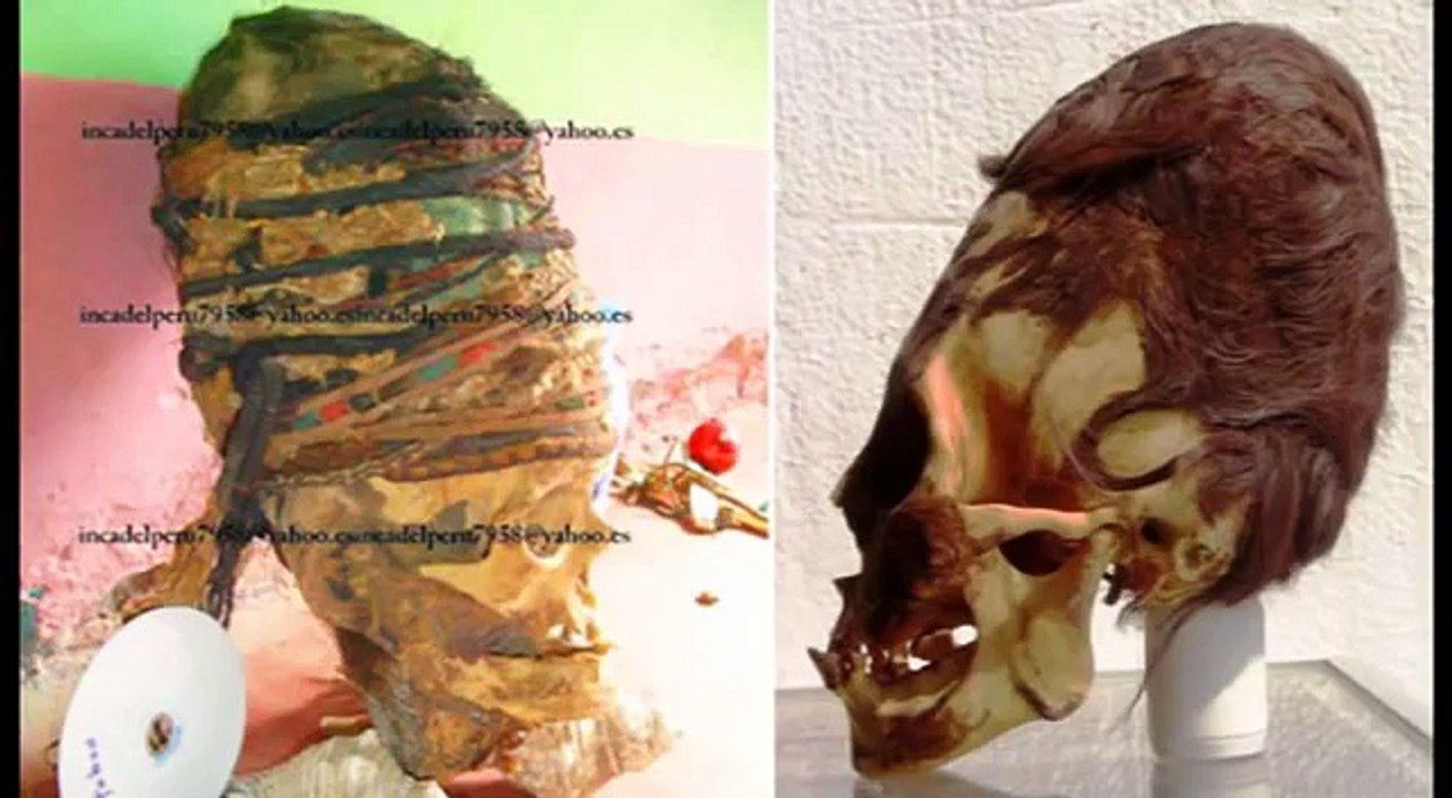 Karen Hudes World Bank Insider claims 2nd Species Rules the World