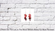 925 Sterling Silver Colored Faceted Swarovski Crystal Beads Dangle Hook Earrings Review