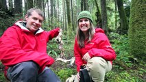 Camera Trapping in the Great Bear Rainforest