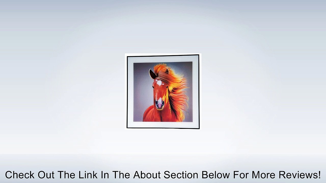 3D lenticular Horse Picture Framed Art Wall Decor 3 Dimensional Print 24''*24'' Review