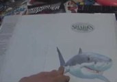 The Hilarious Thoughts of Cartoon Sharks