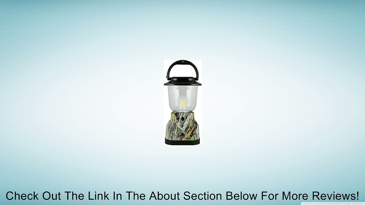 RealTree 11225 Eco Survivor 6-D Extreme Lantern, Camo Green Review