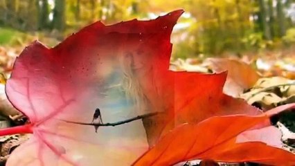 ferda özsoy özer eylülü solumak seninle (1)