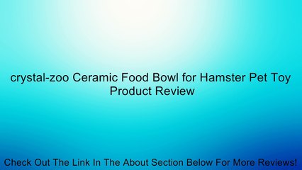crystal-zoo Ceramic Food Bowl for Hamster Pet Toy Review