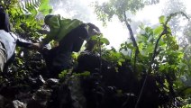 [ HD Clip ] Inside the World's Largest Son Doong Vietnam