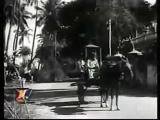 Teri Rahon Main Kharay Hain 1960 film Chhaliya,,,rajkomar??