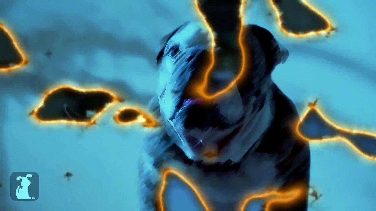 Katy Perry - Roar Parody - Kitty Purry - Meow Sneak Peek