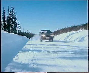 "The call of the wild" - Citroën BX TurboD