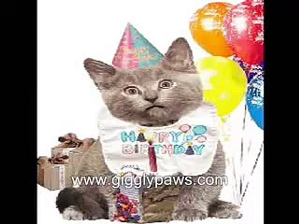 Very Funny Cat Singing Happy Birthday Video Ecard
