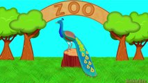 Super Simple Learning Zoo Animals Learn About Animals at the Zoo Preschool Toddlers Kindergarten