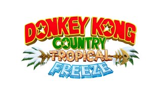 6 Boss Volcano Dome   Donkey Kong Country  Tropical Freeze Music Extended HD