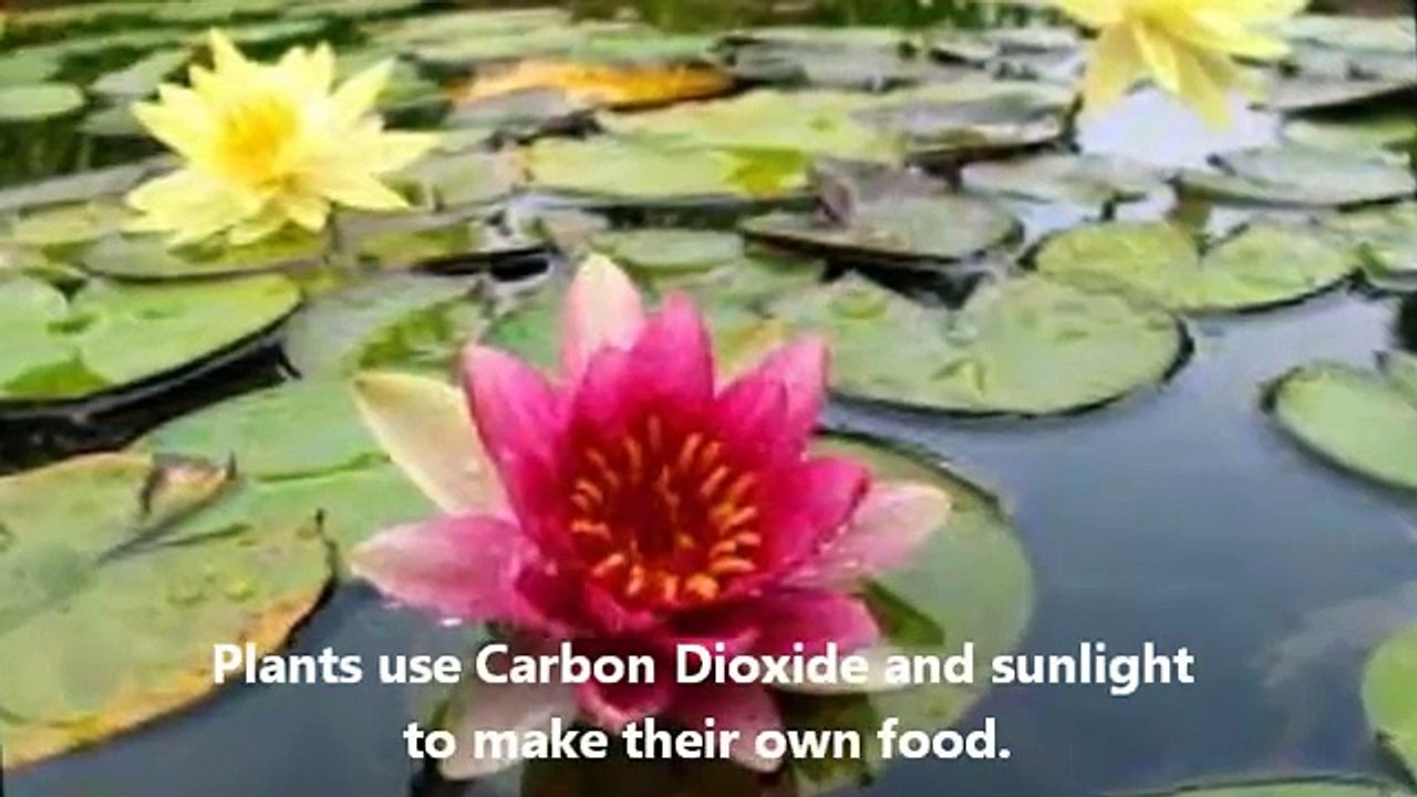 Environmental Chemistry Project