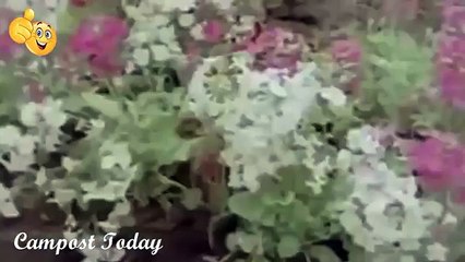 Sexy Girl Dangerous when wearing these trousers off street.