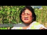 Discovery Channel documentary  Moringa   The Miracle Tree