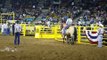 Team roping at the National Western Stock Show