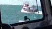 Romanian coast guard sank a vessel of Turkish poachers in Black Sea