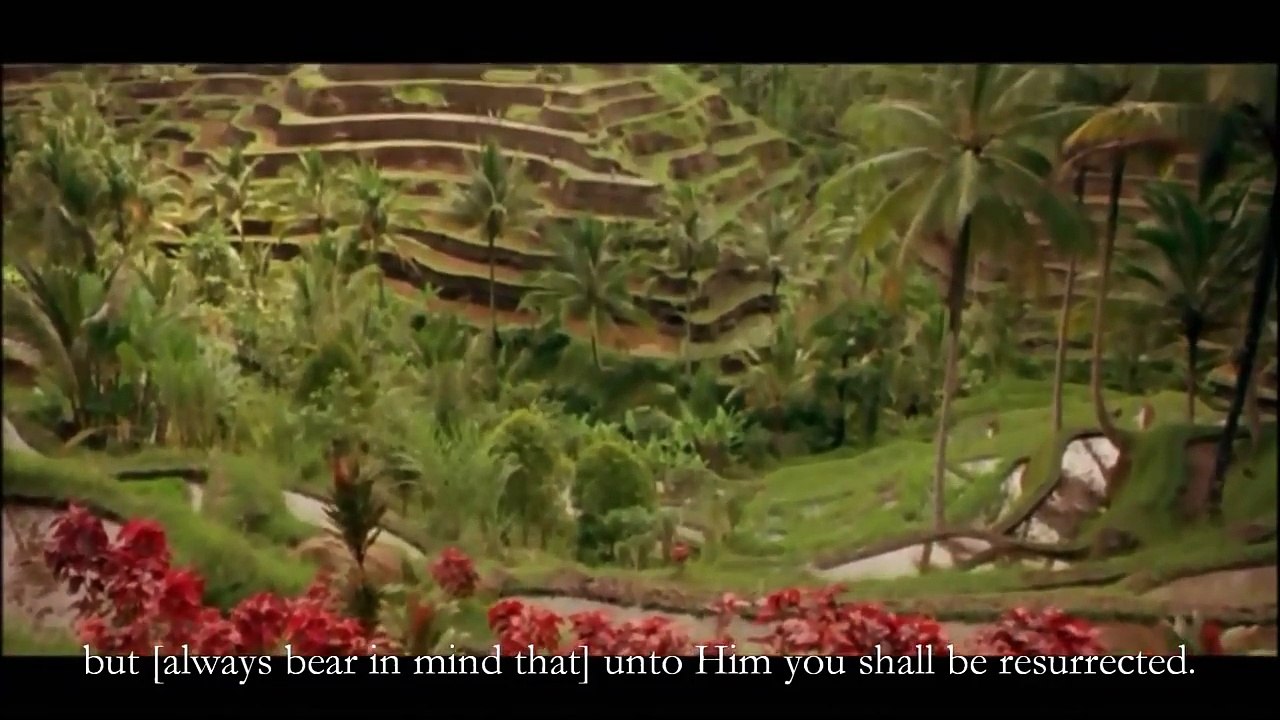 Surah Al Mulk - Really Beautiful Quran Recitation - Qari Youssef Edghouch - Best of Quran Karim