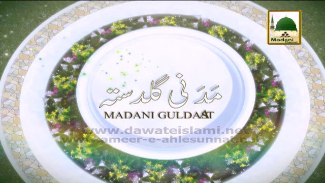 Shab e Barat Mombatti Jalana - Maulana Ilyas Qadri - Madani Guldasta 18