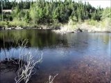 flyfishing brook trout newfoundland may 24th weekend
