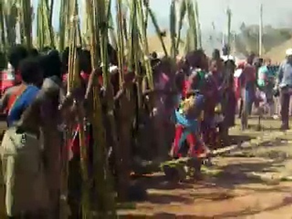 Reed dance festival 2008