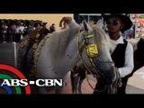 Cowgirls in Ilocos Sur rodeo