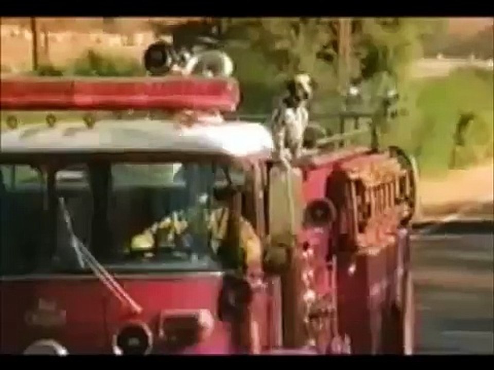 Budweiser Horse  commercials