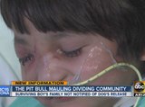 Pit bull mauling dividing the community