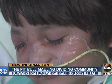 Pit bull mauling dividing the community