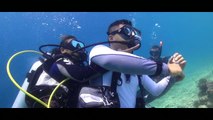 PADI Rescue Diver Course - Elite Divers