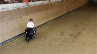 Aubin à son cours d'équitation