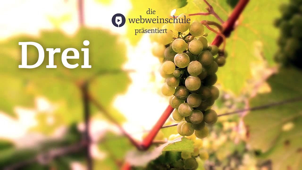 3 Fragen, 1 Wein – Wie wird man Weinkritiker, Wolfgang Faßbender?