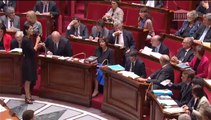 Budget de la Culture - Réponse de Fleur Pellerin #QAG