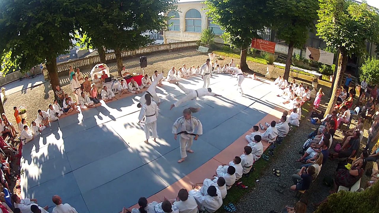 judo show