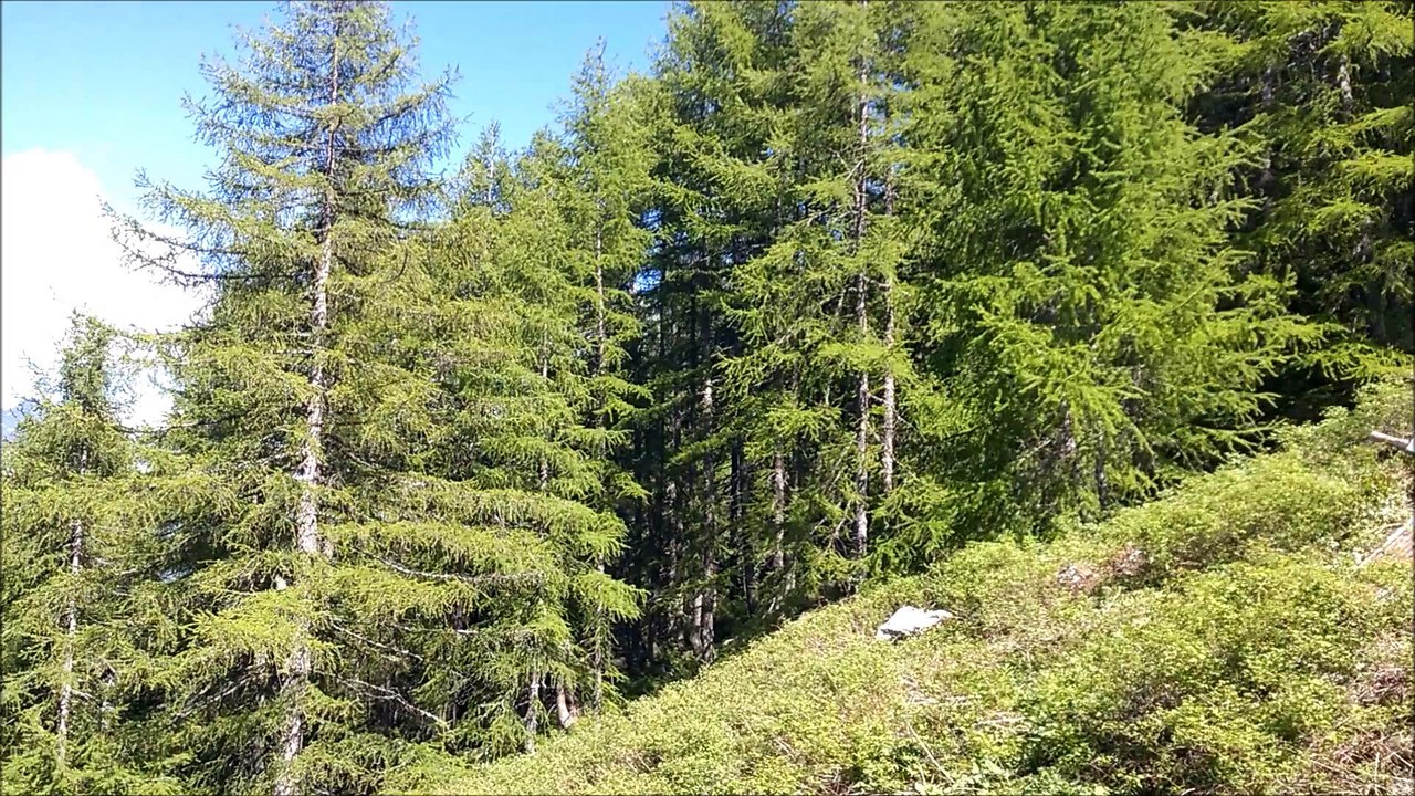 Pré la Pierre