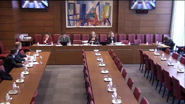 Patrice Begay (Bpifrance). Audition de la Commission d'information de l'Assemblee Nationale (21 Mai 2015)