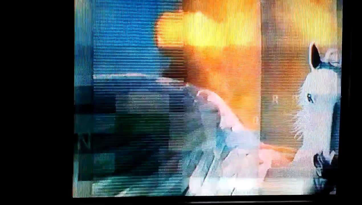 Snatch (2001) VHS Previews