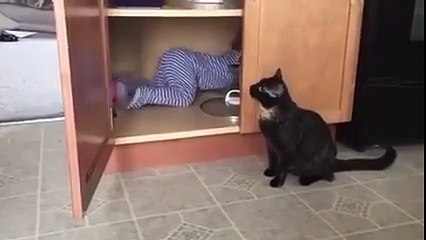 Funny Kid stick in Cabin And Cats door off