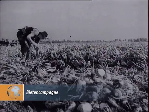 Bietencampagne - 1943