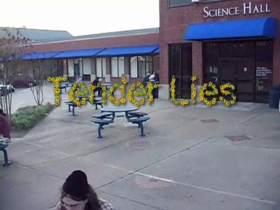 Tender Lies